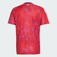 Adidas Costa Rica 26 Home Jersey fan