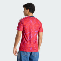 Adidas Costa Rica 26 Home Jersey fan